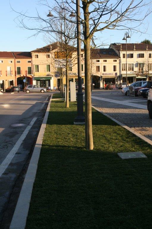 pulizia verde aree pubbliche - sfalcio erba - a padova e venezia